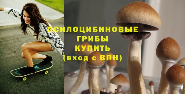 не бодяженный Зеленодольск